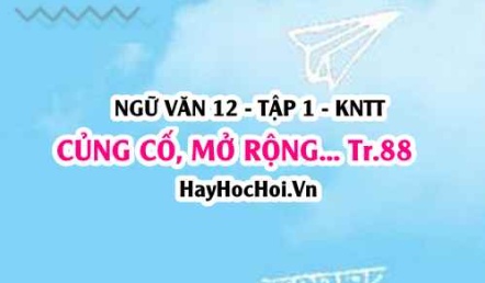 Soạn bài Củng cố, mở rộng trang 88 Ngữ văn lớp 12 tập 1 Kết nối tri thức